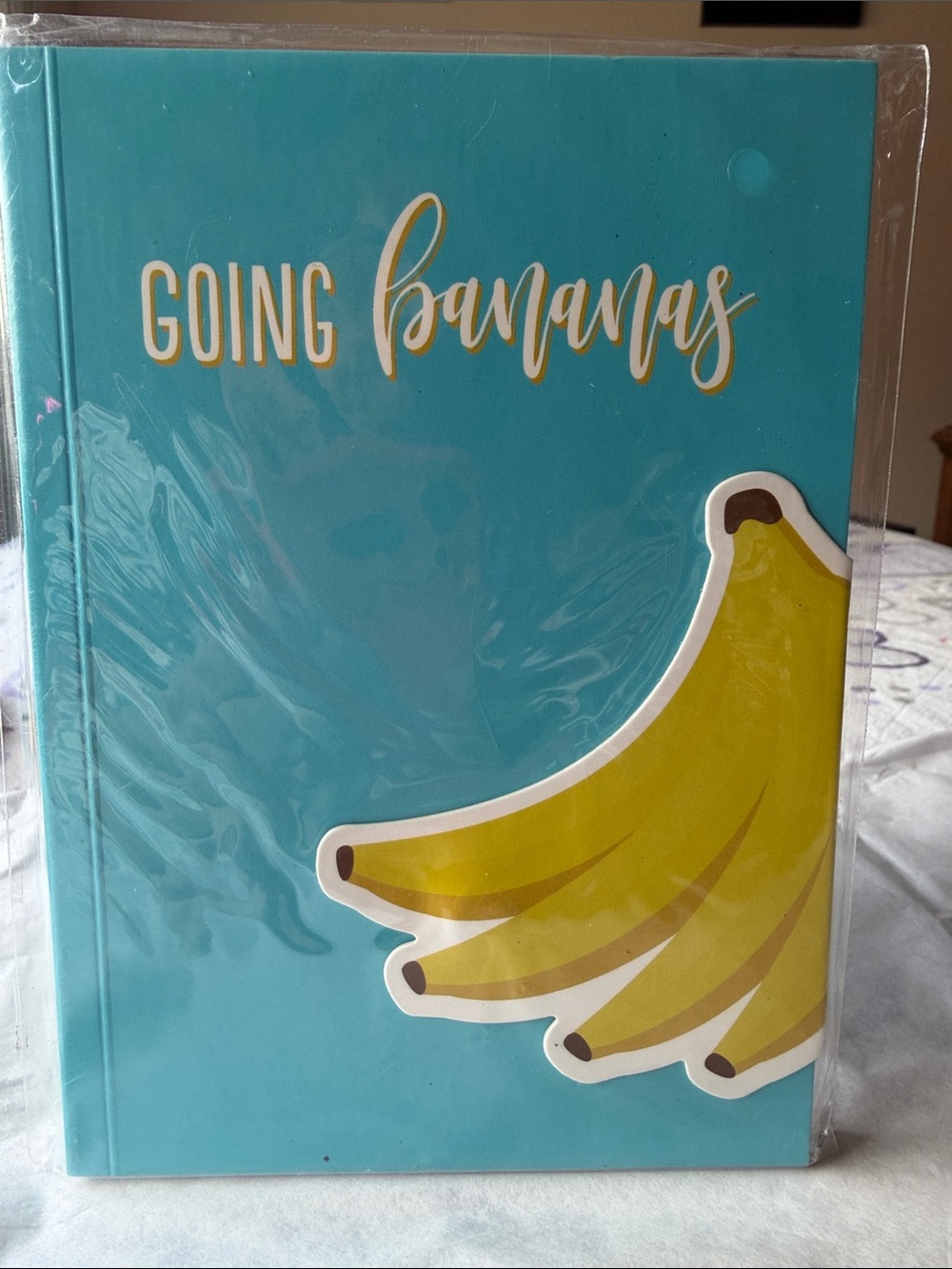 🍌📘🍌 Going Bananas Teal Banana Notebook🍌📘🍌 NWT 🍌📘🍌